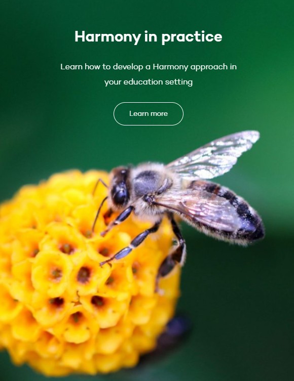 Harmony in practice banner with a bee on a yellow flower and green nature background