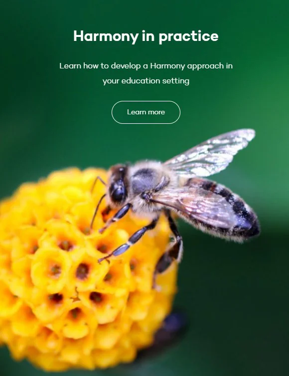 Harmony in practice banner with a bee on a yellow flower and green nature background